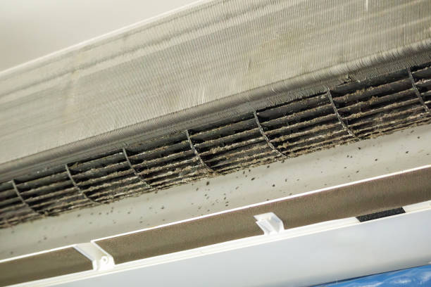 Best Commercial Air Duct Cleaning  in Watertown, MN