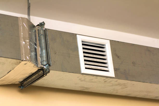 Best Air Duct Mold Removal  in Watertown, MN